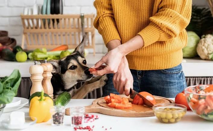 USA Pets Food Info: A Guide to Choosing the Best Nutrition for Your Pets